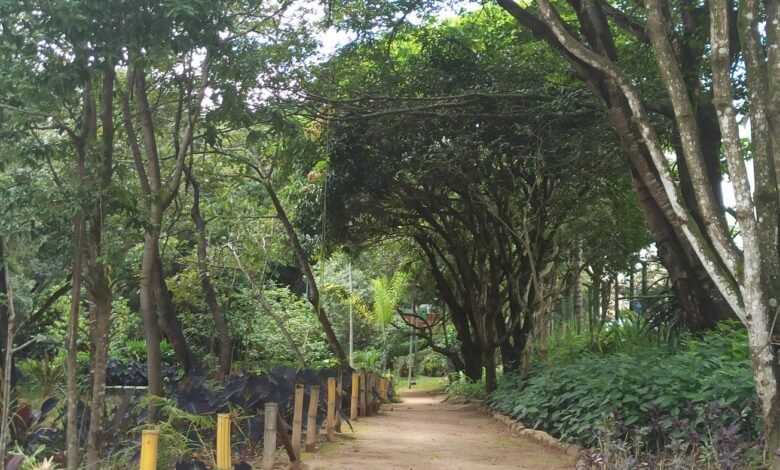 Trilha e educação ambiental movimentam Parque Ursulina no próximo sábado (29)