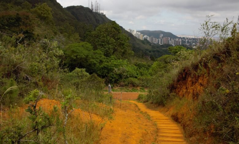 Oficina gratuita capacita usuários para o Desafio Mundial da Natureza Urbana