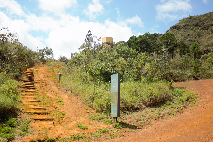 Parque da Serra do Curral terá trilha guiada neste sábado (5)