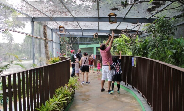 Recinto de Imersão de Aves do Zoológico divulga programação de visitas guiadas em abril