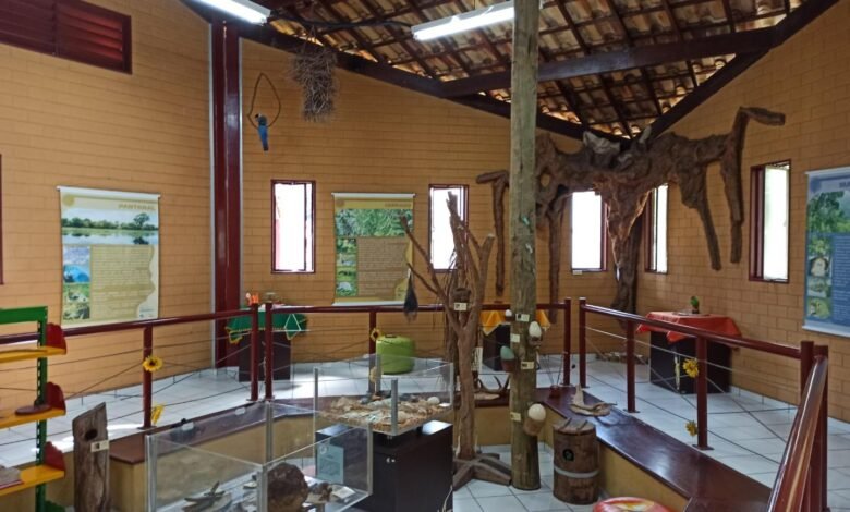 Zooboteca de BH terá visita guiada neste sábado (26)