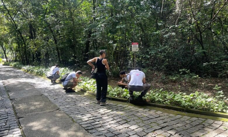 BH fica em terceiro lugar do Brasil no Desafio Mundial da Natureza Urbana