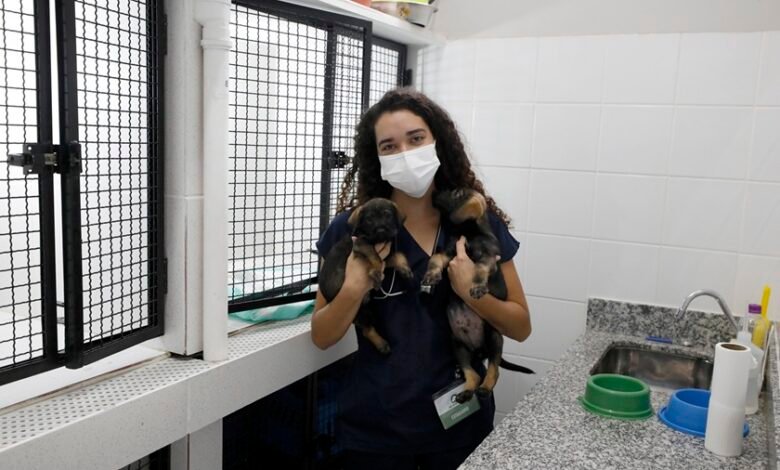 Hospital Veterinário não terá atendimento ao público externo no feriado