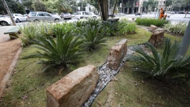PBH entrega os dois primeiros jardins de chuva do Hipercentro da capital