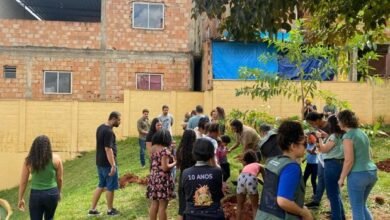 Projeto Escola Verde promove mais um plantio coletivo com alunos e comunidade