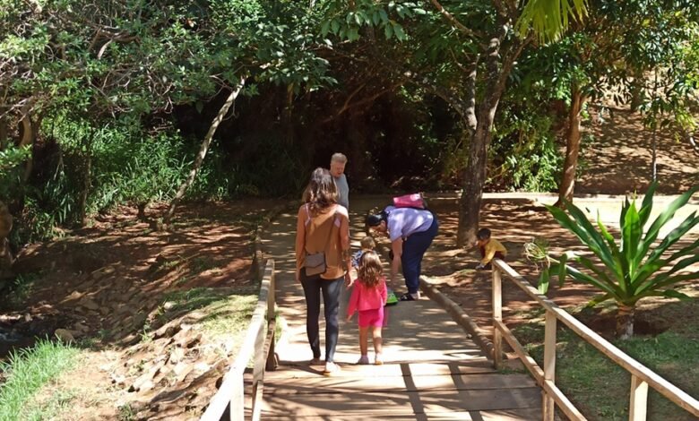 Trilhas gratuitas apresentam a biodiversidade de parques municipais