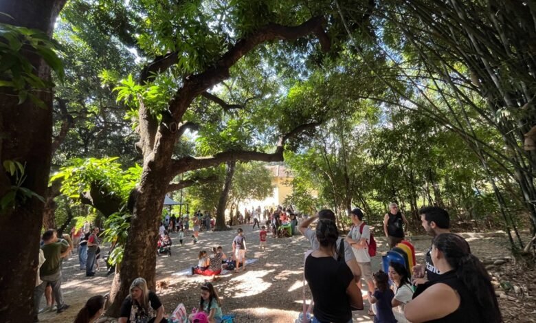 Ambiente em Foco Virtual discute emergência climática nesta edição
