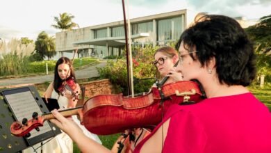 Dia Mundial do Meio Ambiente inspira programação dos Museus da Pampulha