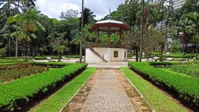 Parque Municipal altera funcionamento a partir de 1º de julho para vacinação de gatos