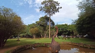Parque das Águas terá brigada contra incêndio após acordo entre a PBH e o Ibama