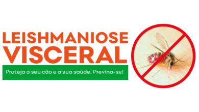 Prefeitura atua para combater leishmaniose e proliferação do mosquito-palha