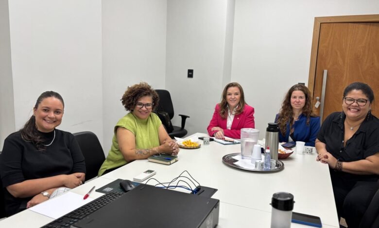 Referência internacional, Programa Maior Cuidado é apresentado ao governo do Paraná