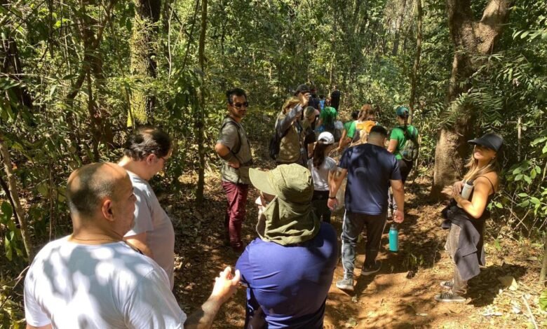 Trilha gratuita apresenta a biodiversidade do Parque Ursulina de Andrade Mello