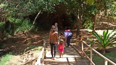 Trilha guiada é opção para contemplar o Parque Aggeo Pio Sobrinho no sábado (28)