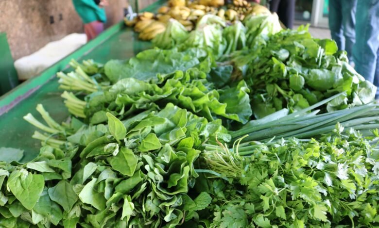 Vilarinho abriga a primeira feira de agricultura urbana em estação de ônibus