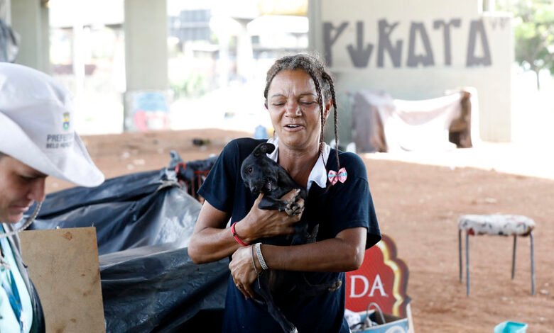 Castração gratuita de mil cães e gatos será iniciada pela PBH em 5 de agosto