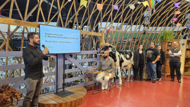 Comtur-BH celebra Dia da Gastronomia Mineira valorizando esse patrimônio cultural