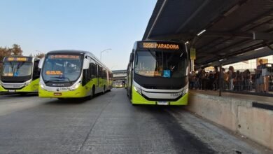 Entenda como é feita a numeração das linhas de ônibus que circulam em BH