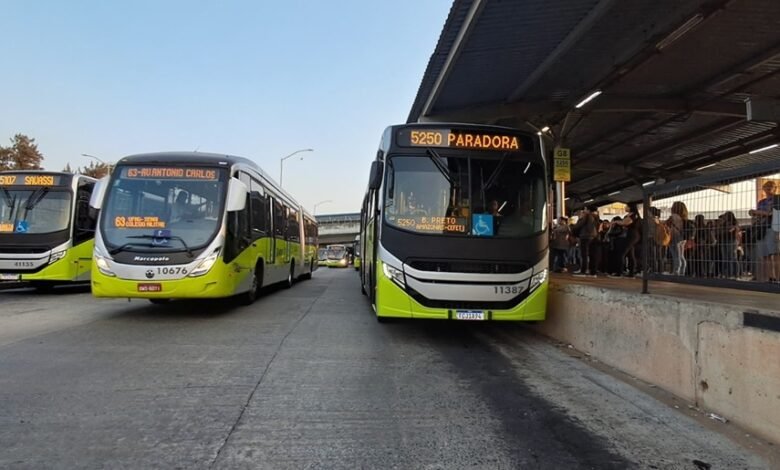 Entenda como é feita a numeração das linhas de ônibus que circulam em BH