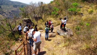 Fim de semana será de programação gratuita do projeto Férias nos Parques e na Zoobotânica