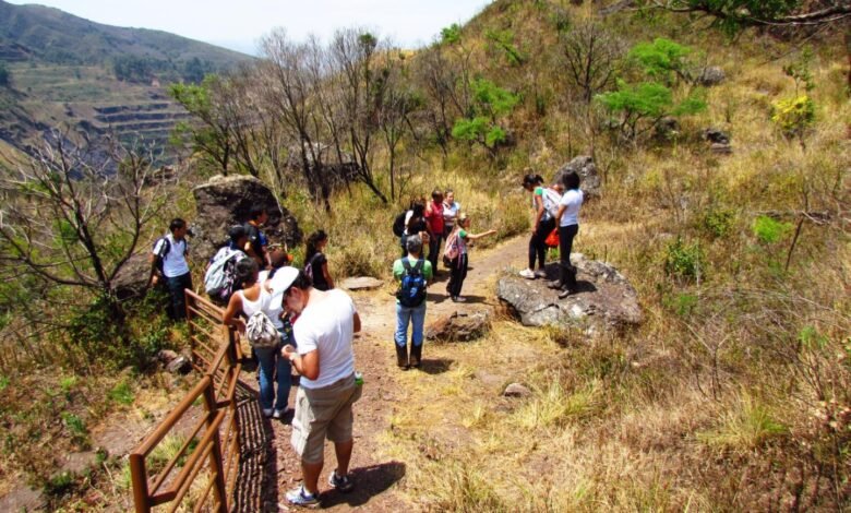Fim de semana será de programação gratuita do projeto Férias nos Parques e na Zoobotânica