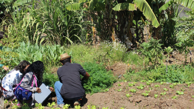 Inscrições abertas até 5 de agosto para 80 vagas do Trilha da Agroecologia