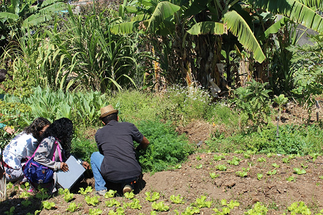 Inscrições abertas até 5 de agosto para 80 vagas do Trilha da Agroecologia