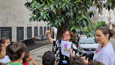 Inventário Afetivo das Árvores aproxima estudantes da natureza com o mapeamento da vegetação urbana