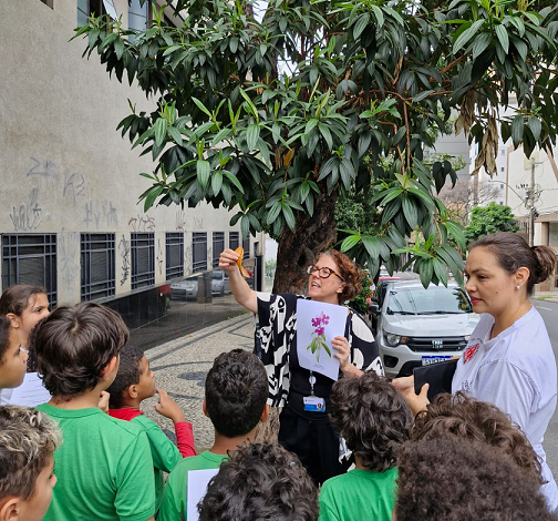 Inventário Afetivo das Árvores aproxima estudantes da natureza com o mapeamento da vegetação urbana