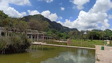 Prefeitura de BH promove simulado de combate a incêndios florestais no Parque das Mangabeiras