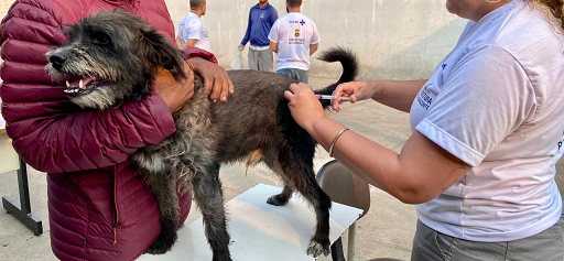 Prefeitura de BH promove vacinação de animais contra a raiva em shopping da região Nordeste