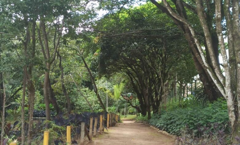Trilha Kids leva a criançada a ter contato com a natureza no Ursulina de Andrade Mello