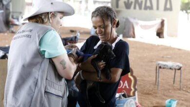 Animais tutelados por pessoas em situação de rua recebem cuidados veterinários da PBH