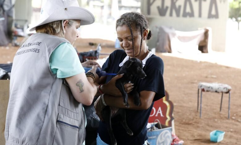Animais tutelados por pessoas em situação de rua recebem cuidados veterinários da PBH