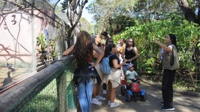 Atividades de educação ambiental reúnem mais de 45 mil pessoas nos parques e Zoobotânica de BH no primeiro semestre