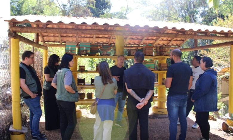 Biofábrica de joaninhas e meliponários colocam BH na rota do turismo sustentável