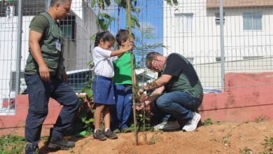 Estratégias de educação ambiental é tema do Ambiente em Foco Virtual
