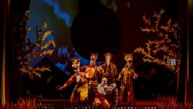 Musical infantil destaca importância do cerrado no Teatro Marília