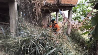 Mutirão de limpeza é iniciado em vilas de Venda Nova