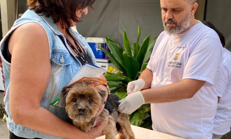 Prefeitura de BH promove vacinação de cães e gatos contra a raiva neste sábado (23)