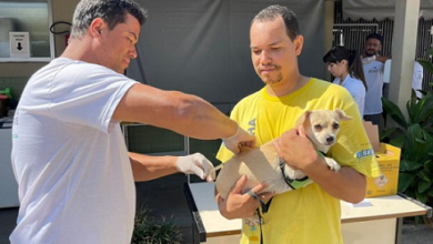Prefeitura de BH vai vacinar cães e gatos contra a raiva em 23 de agosto