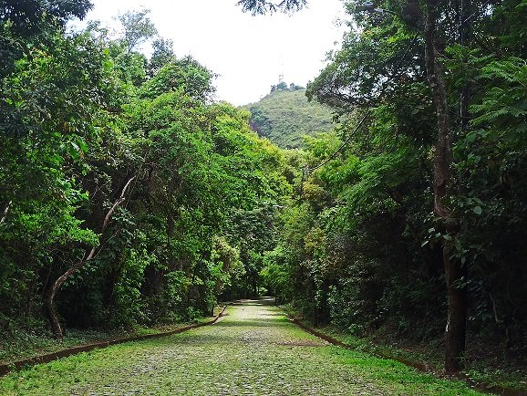 Trilhas educativas incentivam conexão com a natureza no Ursulina de Andrade Mello e outros parques