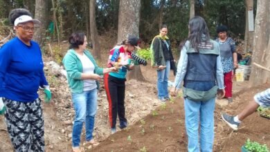 Ação da PBH promove a preservação ambiental e segurança alimentar no Aglomerado da Serra