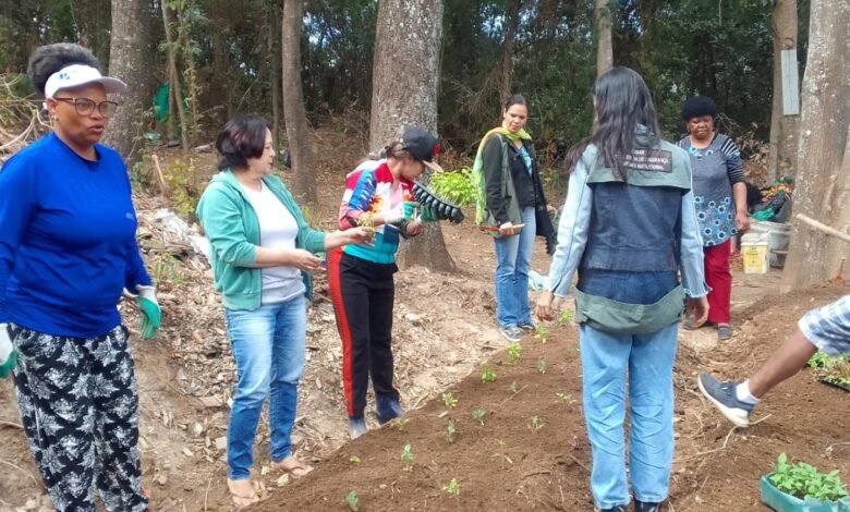 Ação da PBH promove a preservação ambiental e segurança alimentar no Aglomerado da Serra