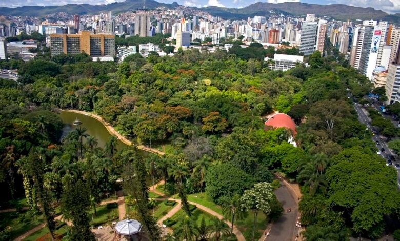 Ambiente em Foco Virtual aborda o Plano de Arborização de BH