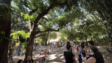 Centro de Educação Ambiental da Pampulha debate arborização