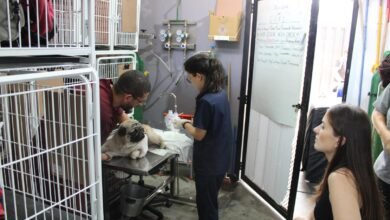 Complexo Veterinário oferece acolhimento psicológico a tutores e colaboradores