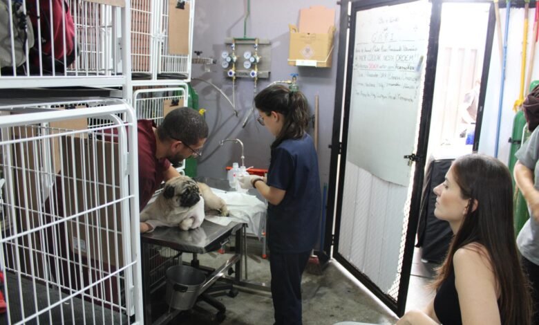Complexo Veterinário oferece acolhimento psicológico a tutores e colaboradores