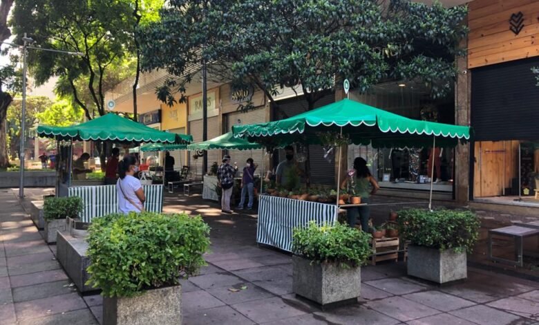 Feira de Plantas e Flores da Savassi triplica número de expositores