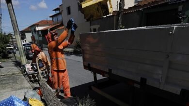 Mutirão de limpeza combate Aedes aegypti na região Leste